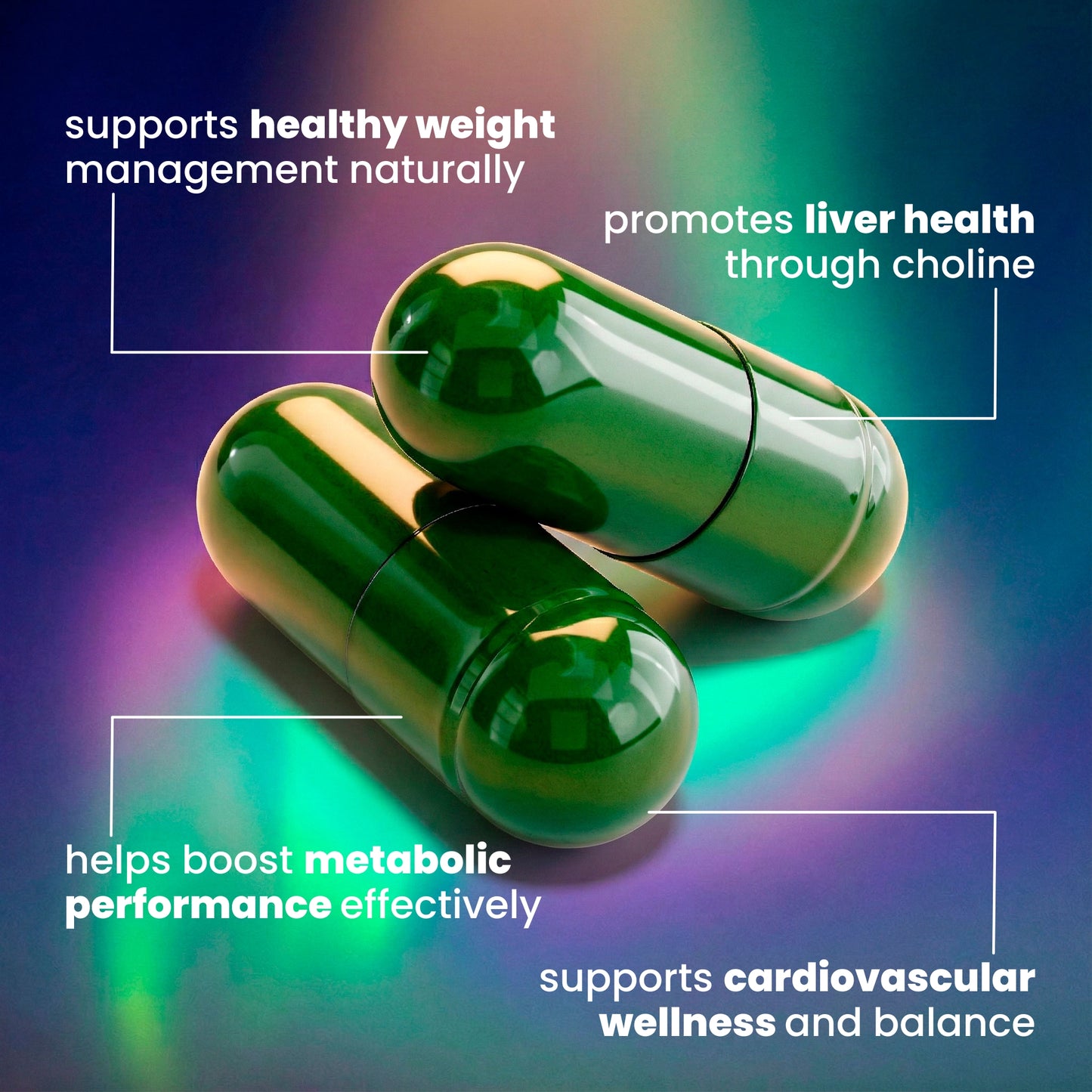 Fat Burner and Appetite Suppression Capsules Information Graphic